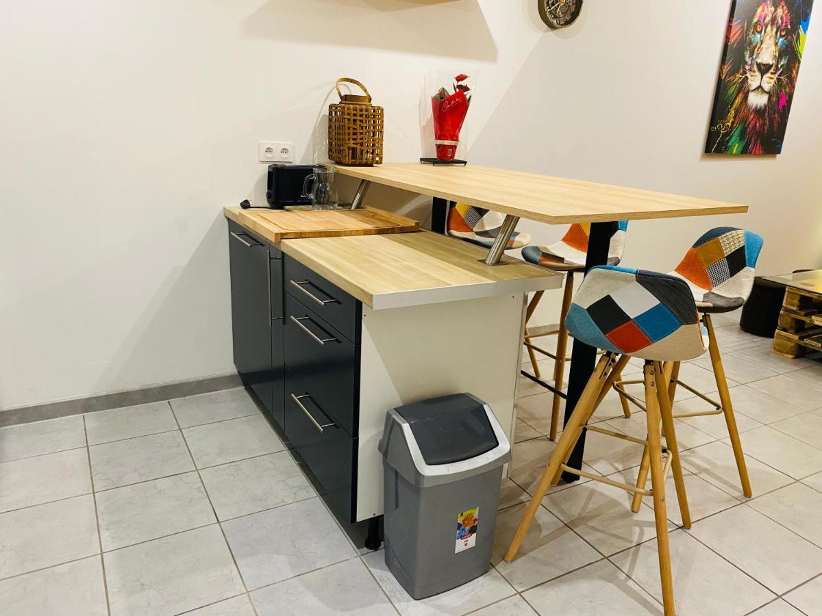 Studio 40m2 plein pied avec parking Jussac Extérieur photo