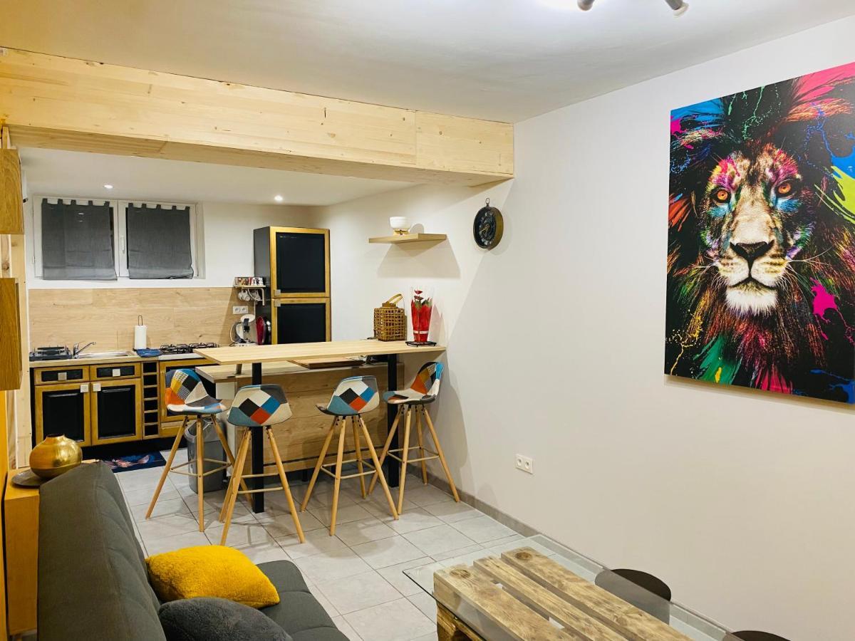 Studio 40m2 plein pied avec parking Jussac Extérieur photo